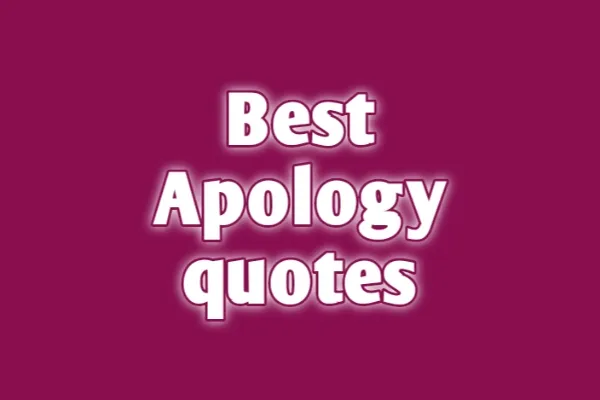 Best apology quotes